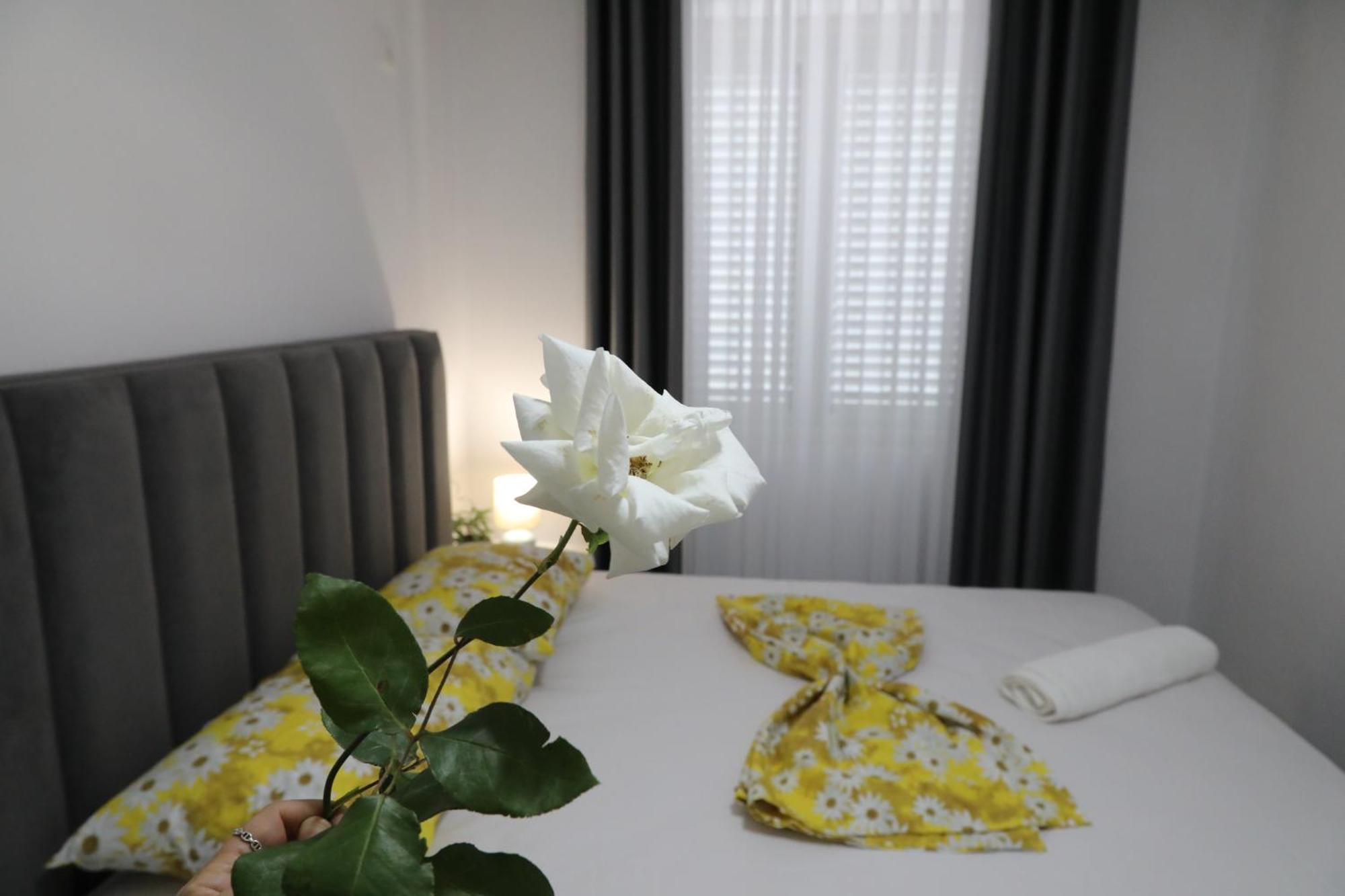 Rozafa Guest Room Center Shkodër 外观 照片